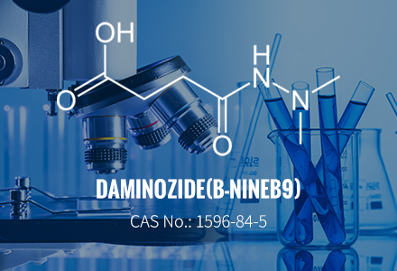 Daminozida (B-NINE / B9) CAS 1596-84-5